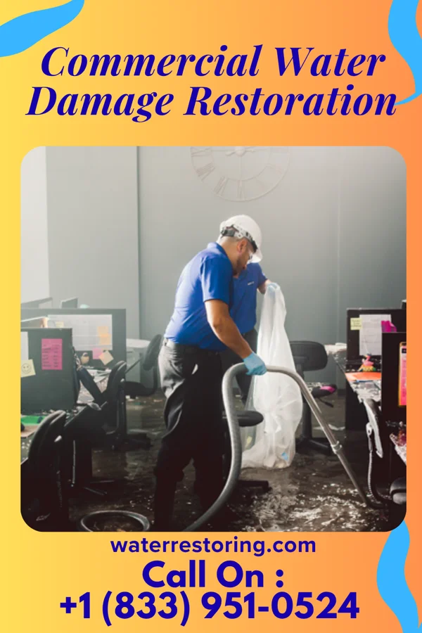 Commercial Water Damage Restoration in Minneola, KS
